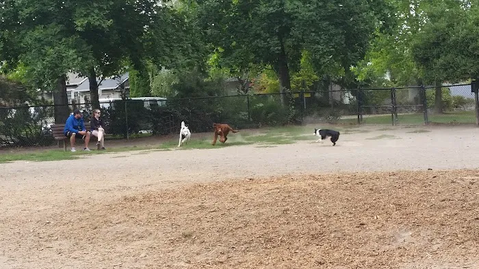 Summerlake Dog Park 3