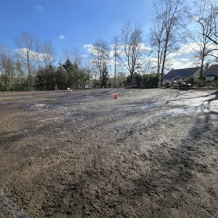 Summerlake Dog Park 6