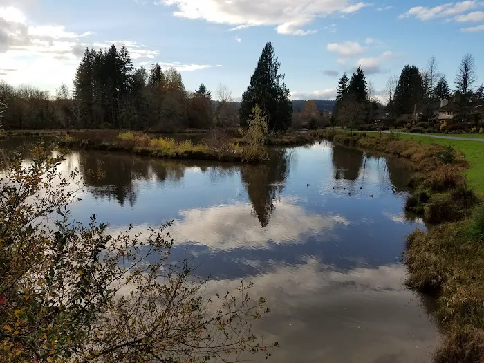 Summerlake Dog Park 2