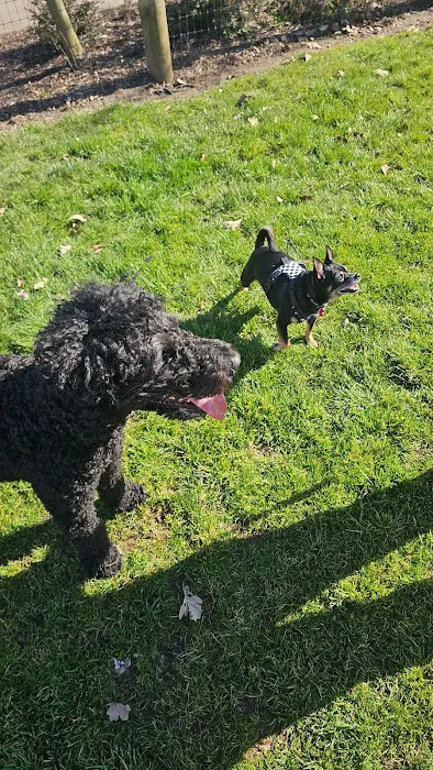 Fenced Off-Leash Dog Park 1