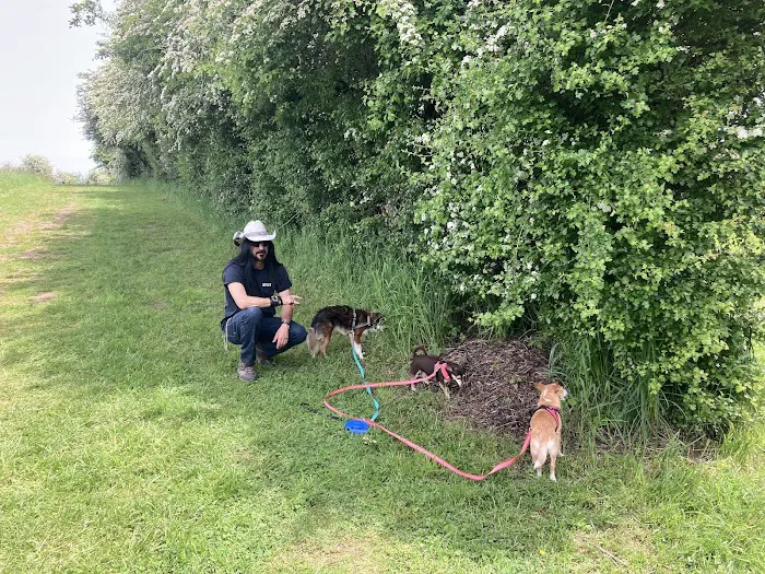 Hazelia Dog Park 6