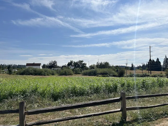 Hazelia Dog Park 2