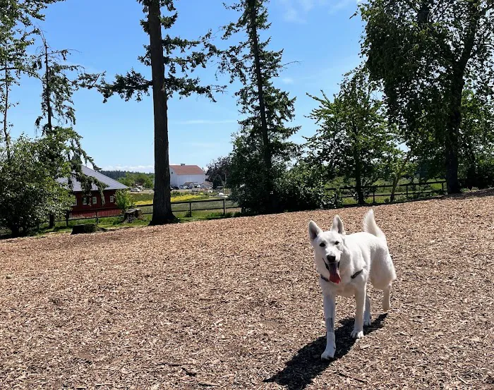 Hazelia Dog Park 5