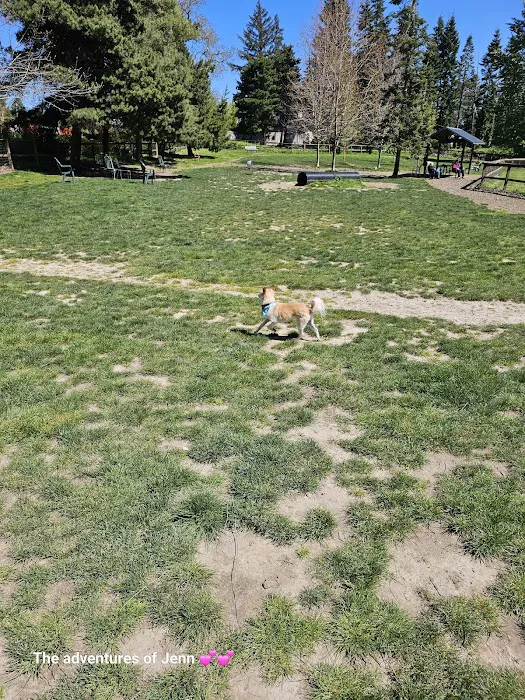 Hazelia Dog Park 3