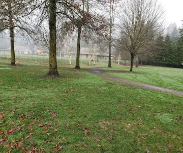 Pilkington Park