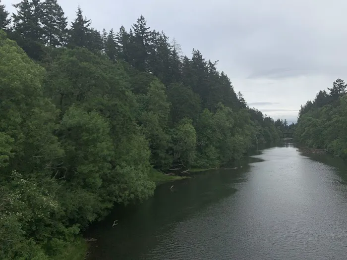 Durham Park Off Leash area 3