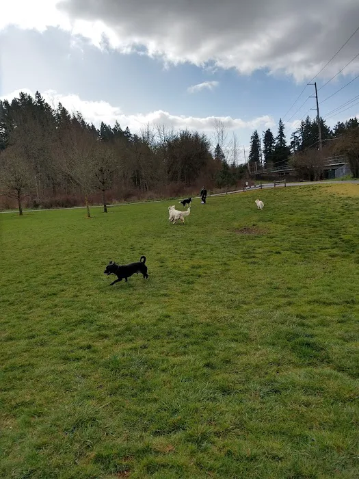 Durham Park Off Leash area 5