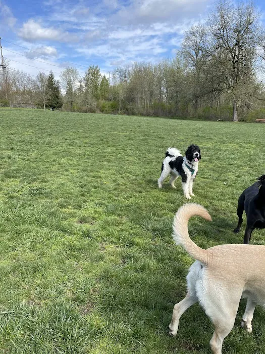 Durham Park Off Leash area 2