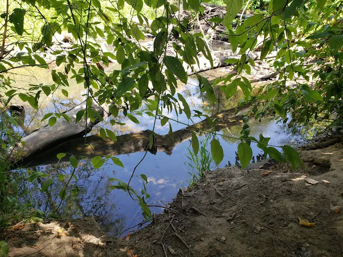 Durham Park Off Leash area 8