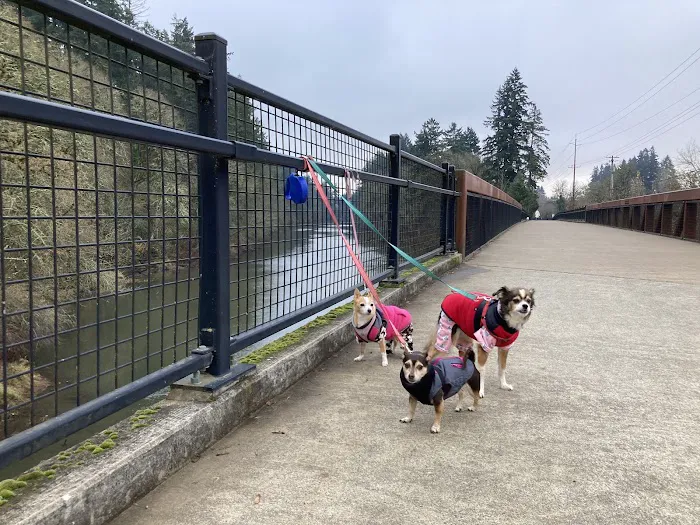 Durham Park Off Leash area 4