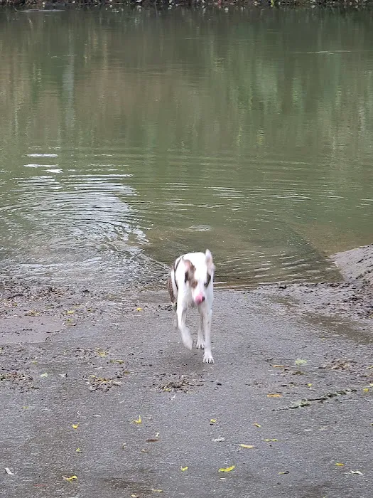 Durham Park Off Leash area 1