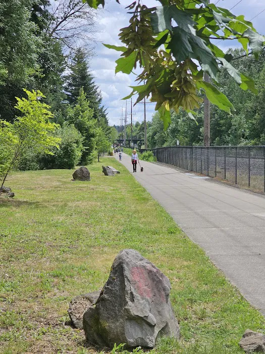Tualatin Dog Park 3