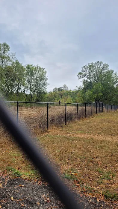 Jurgens Dog Park 8