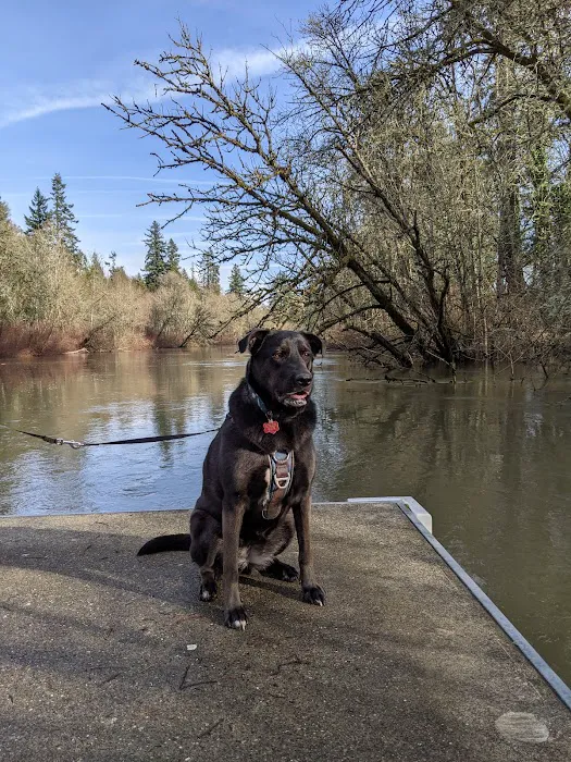 Jurgens Dog Park 2