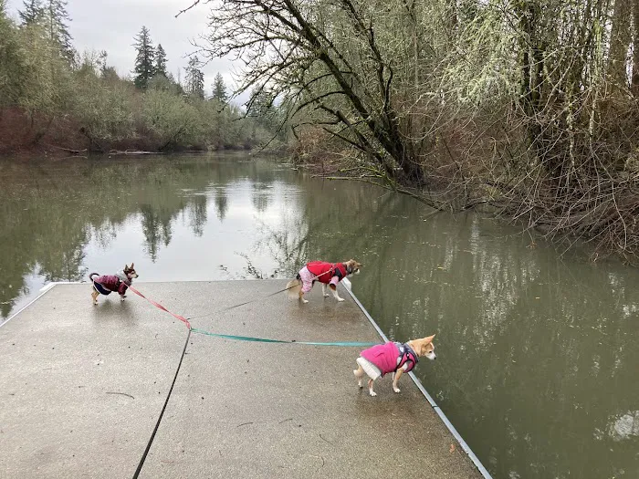 Jurgens Dog Park 9