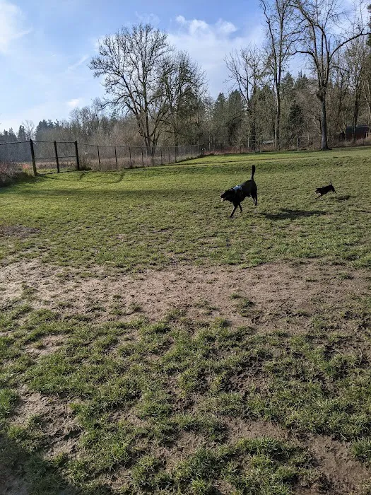 Jurgens Dog Park 4