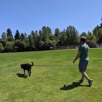 Jurgens Dog Park ico