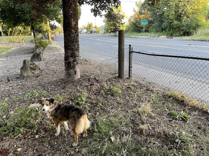 Fenced Off-Leash Dog Park 8