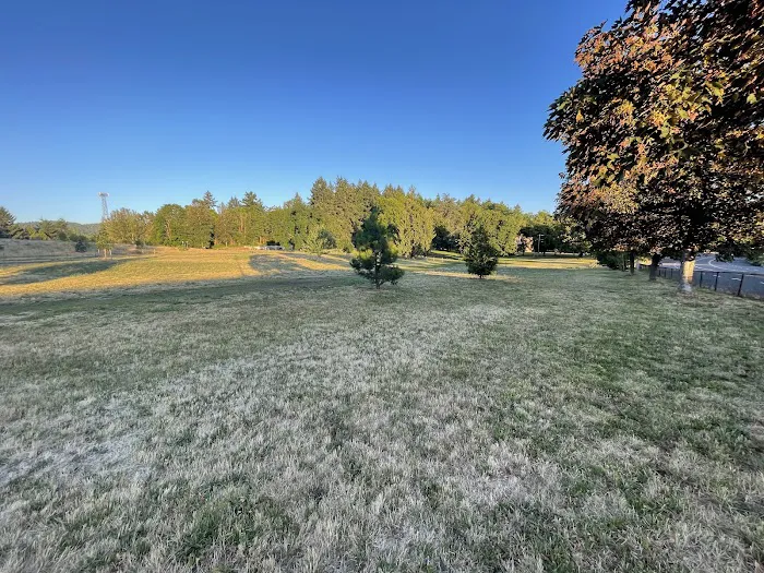 Fenced Off-Leash Dog Park 10