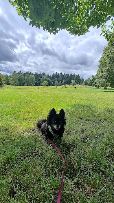 Fenced Off-Leash Dog Park 9