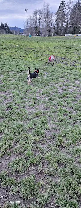 Fenced Off-Leash Dog Park 2