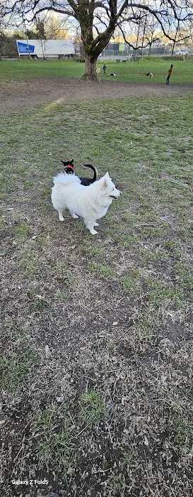 Fenced Off-Leash Dog Park 3