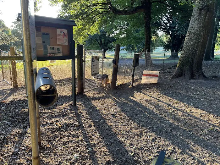Fenced Off-Leash Dog Park 5