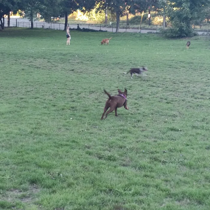 Fenced Off-Leash Dog Park 4
