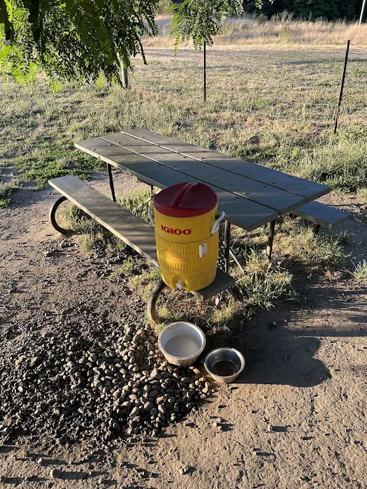 Fenced Off-Leash Dog Park 6