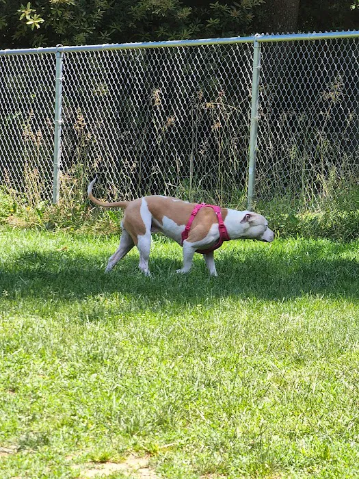 Happy Valley Off Leash Dog Park 10