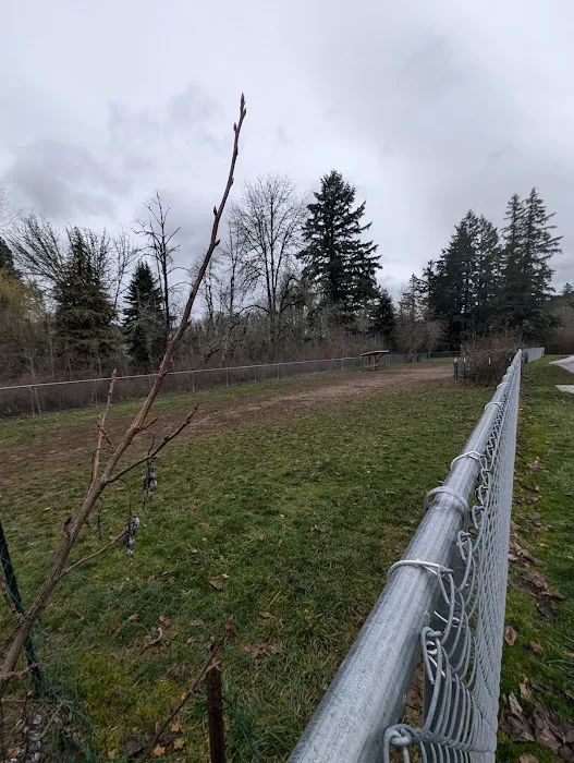 Happy Valley Off Leash Dog Park 6