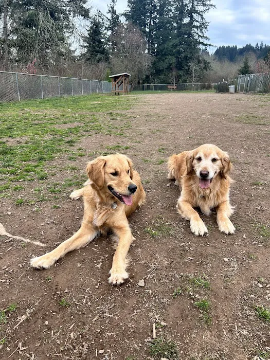 Happy Valley Off Leash Dog Park 9