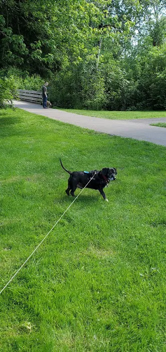 Happy Valley Off Leash Dog Park 2