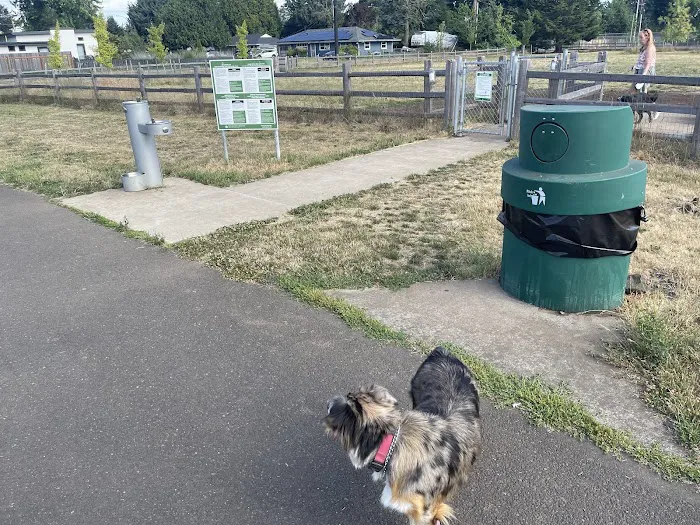 Fenced Off-Leash Dog Park 10