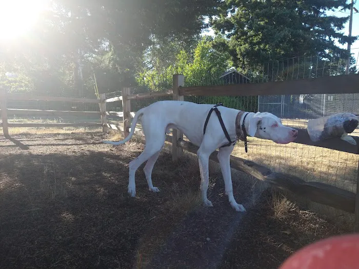 Fenced Off-Leash Dog Park 3