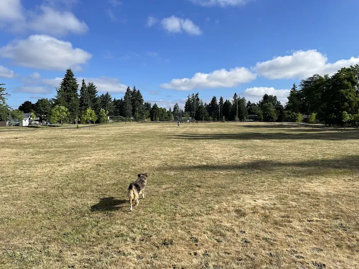 Fenced Off-Leash Dog Park 6