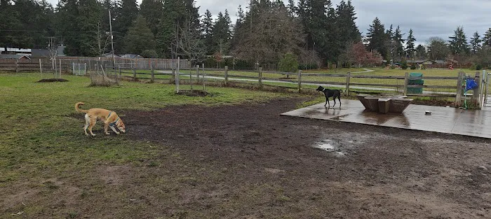 Fenced Off-Leash Dog Park 8