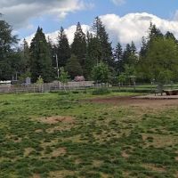Fenced Off-Leash Dog Park ico
