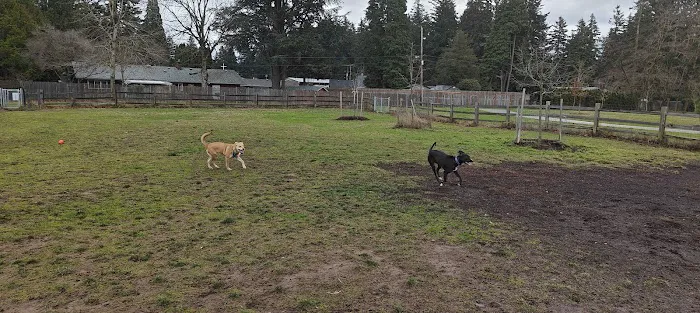 Fenced Off-Leash Dog Park 9