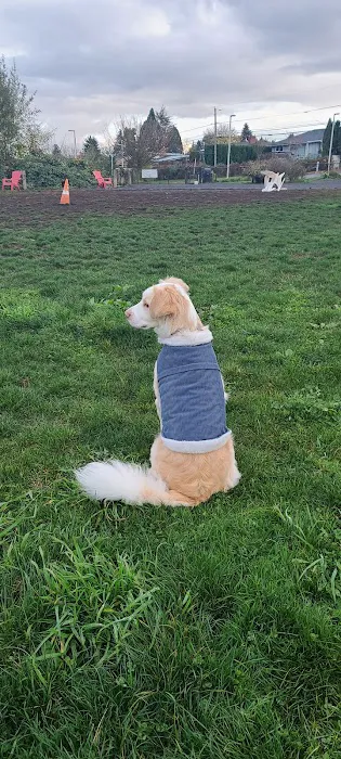 Luuwit View Dog Park 5