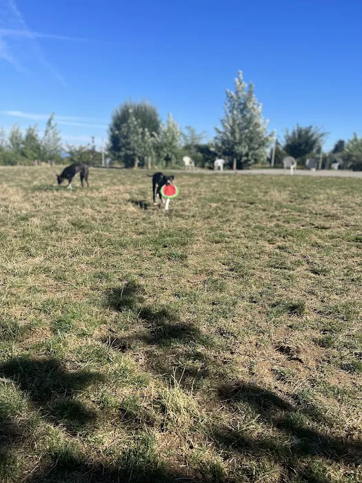 Luuwit View Dog Park 2