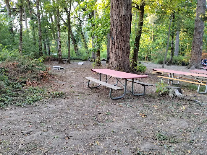 Off-Leash Dog Park 3