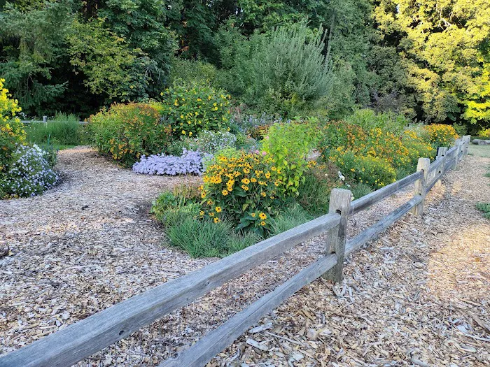 Off-Leash Dog Park 10