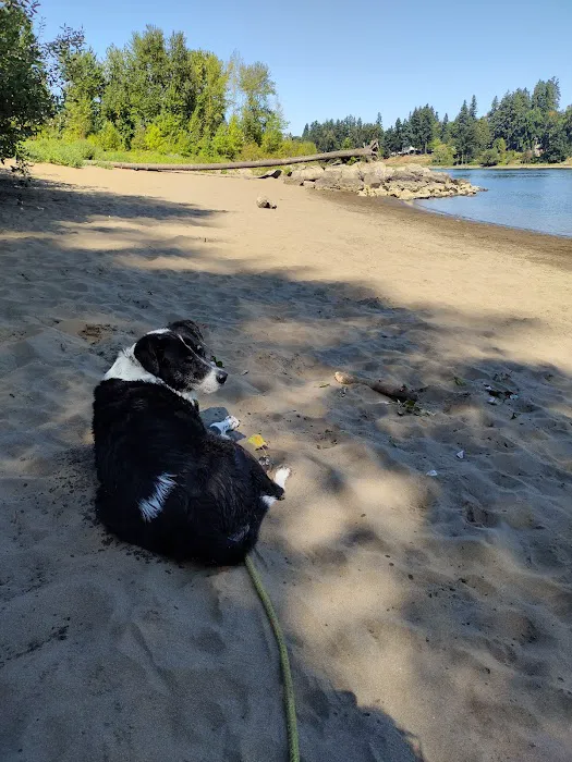 Off-Leash Dog Park 4