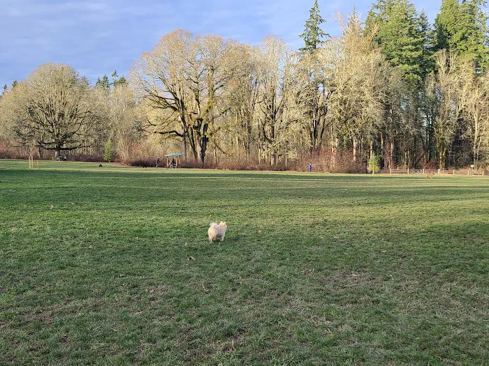 Off-Leash Dog Park 8
