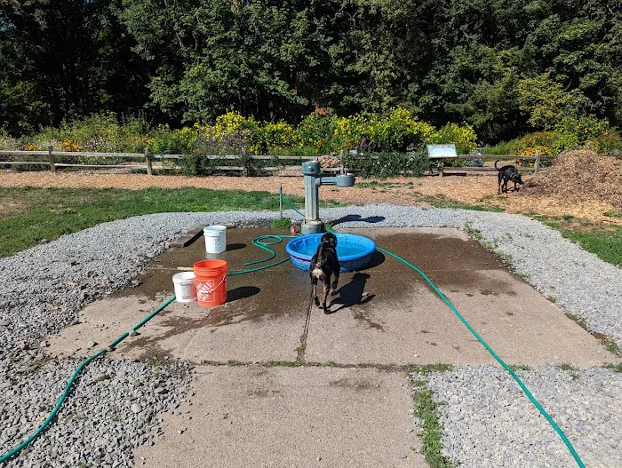 Off-Leash Dog Park 6