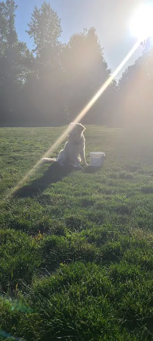 Mary S dog park 1