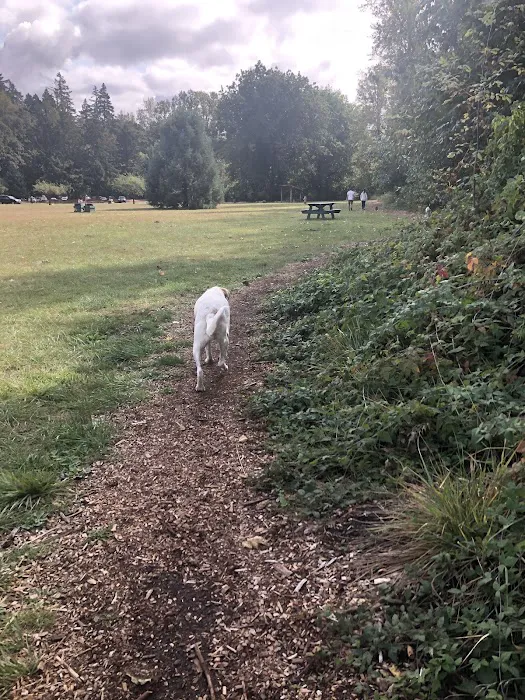 Mary S dog park 2
