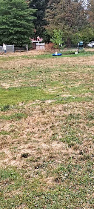 Fenced Off-Leash Dog Park 1
