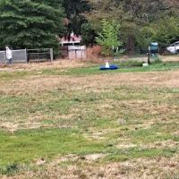 Fenced Off-Leash Dog Park ico